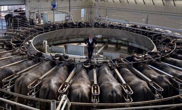 살장에 끌려온 소 가운데 선 터키 유명 요리사 '누스레트 괵체'. (사진=누스레트 괵체 인스타그램 캡처)